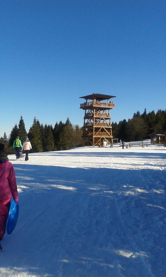 Ubytovanie Sokolica Červený Kláštor المظهر الخارجي الصورة